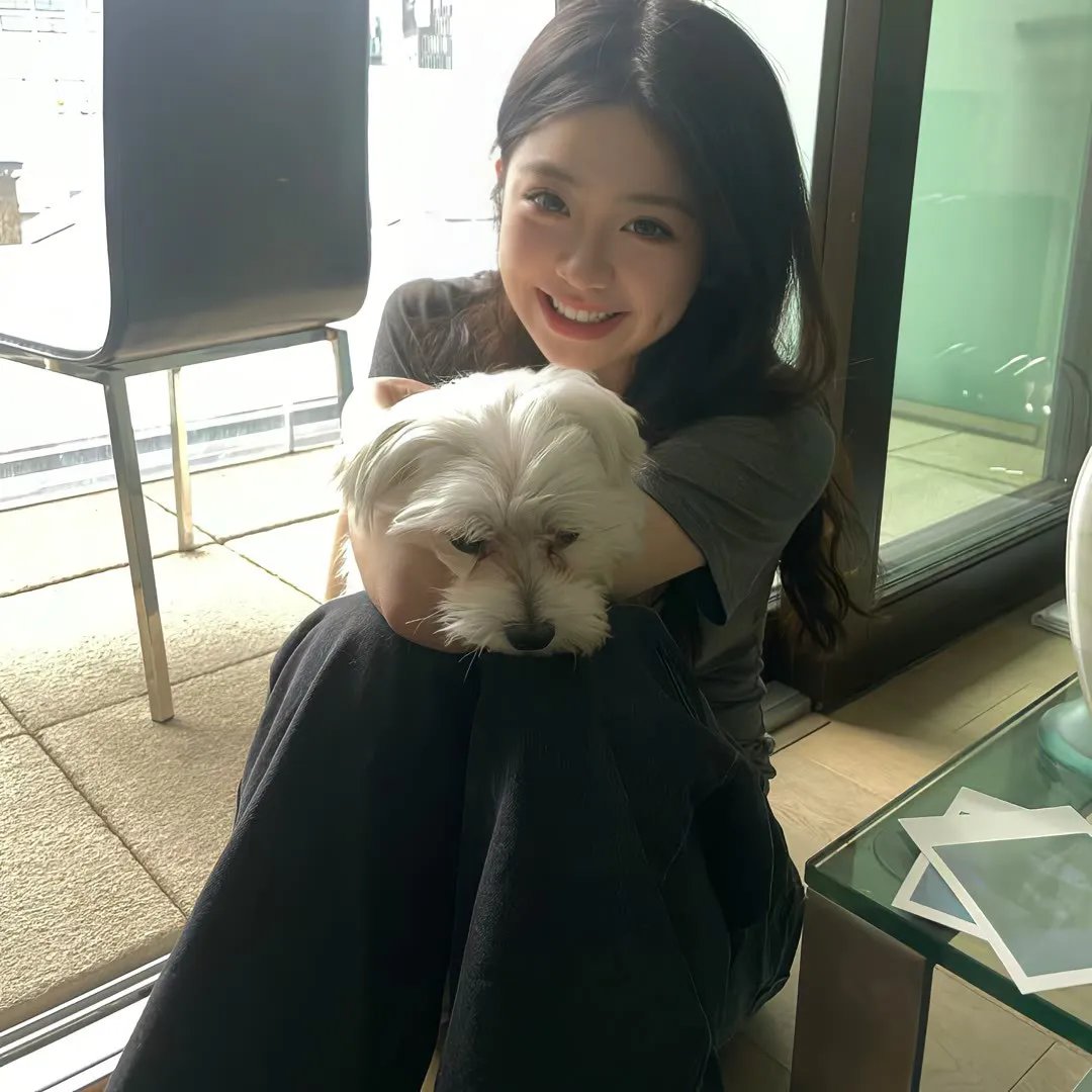 冬狮